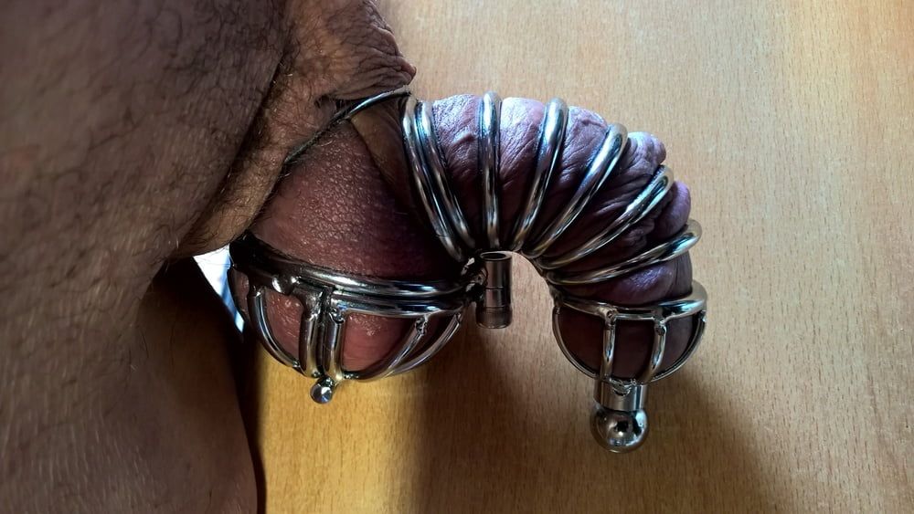 Smallest penis and testicle cage 2