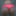 My body
