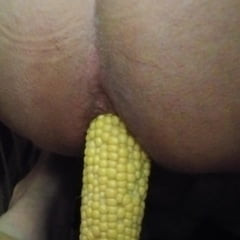 玉米肛门