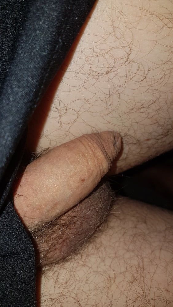 Cock  #3