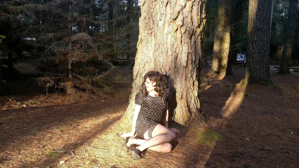 Crossdress Roadtrip - Pine Forest #8