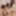 Mika Sumire &amp; HITOMI :: Swapping Wish Comes True - CARIBBEAN