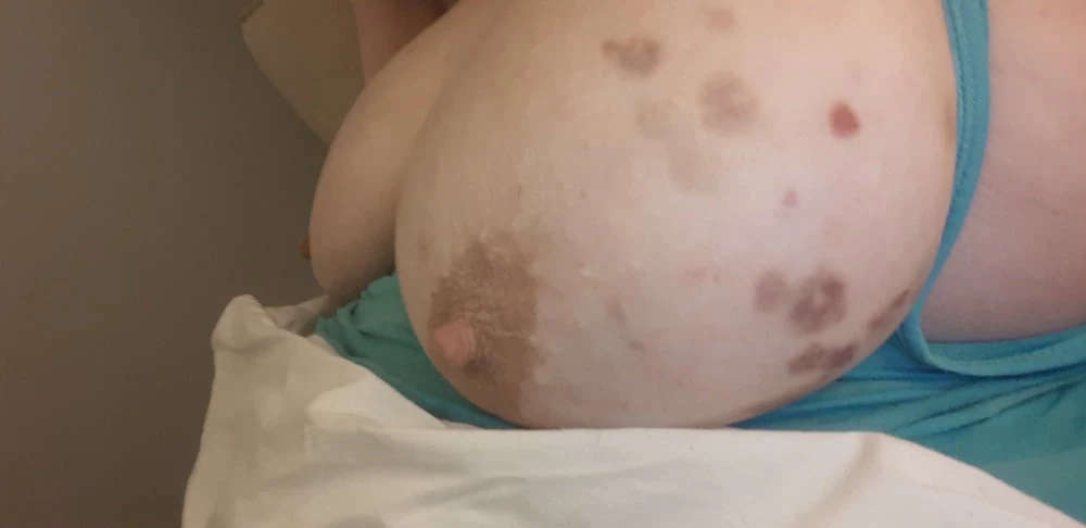 Fat piggy #36