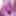 Pink puffy pussy Set 1