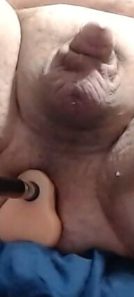 anal toy