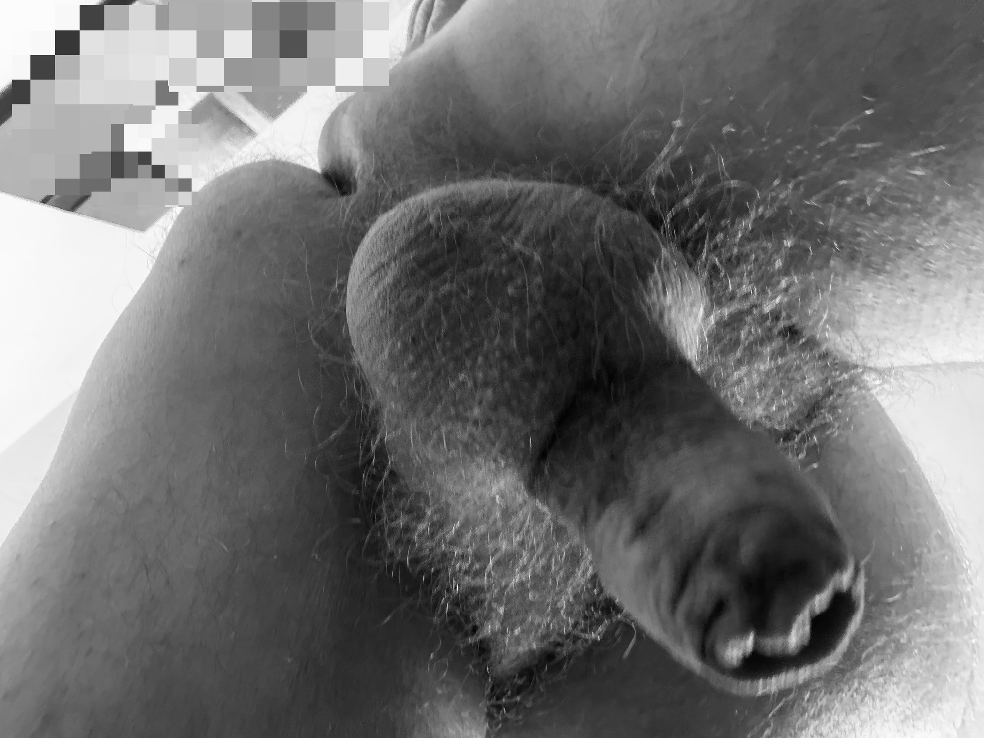 Hairy Oldie 118
