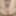 April 24th, 2024, Daily duty of the naked slave