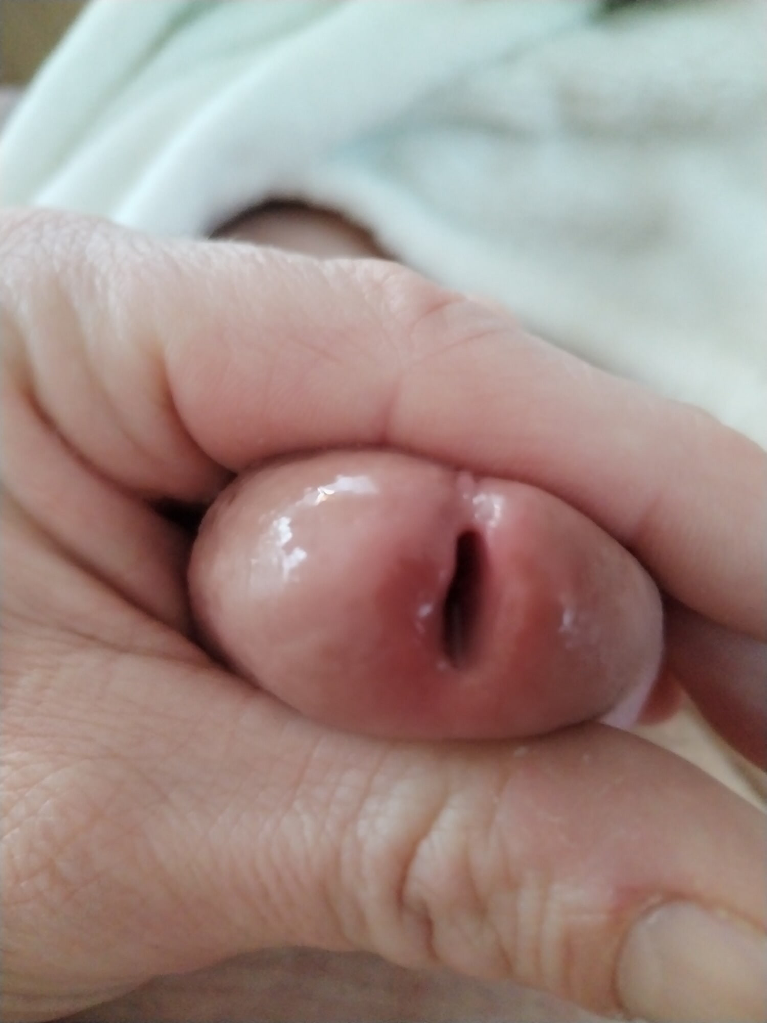 Jeszcze kilka zdjęć mojego kutasa