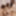 Mika Sumire &amp; HITOMI :: Swapping Wish Comes True - CARIBBEAN