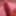 cock pink