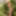 Photo shooting with cum slut Dany Sun in the garden - part 2 #3