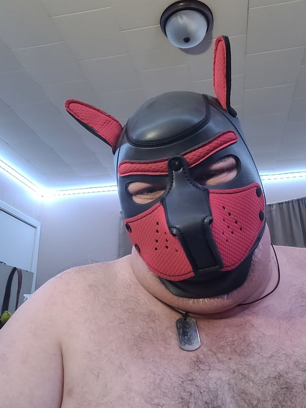 Woof! Masked Set #24