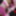 the best one yet thgeres a vvid to this will ba done soon #30