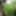 Naked Forest #4