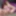 JOEYSTRANSFEETGIRLS: Linzy's Footjob And Frot
