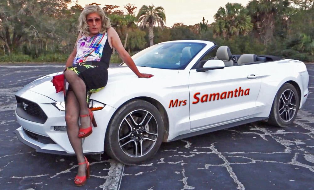 Samanthas Mustang Memories #15