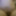GIFs - Jacob - smooth young chub cub