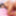 FILF - Teen Tinslee Reagan Gets Facialized By Her Stepdad #31