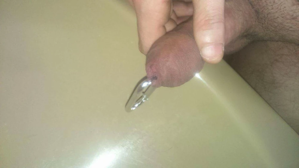 May dick
