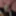 Weighing, Cagecheck, plugcheck, Nylons, September, 21,2023 #5