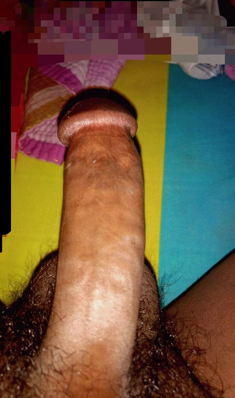 Desi Hairy Big Cock