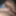 Cum Shooter Anthony's nude collection