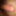 ディックの写真