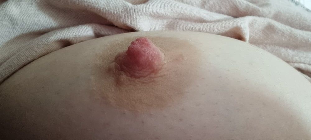 My Tits