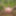 Fag Christoph Straubinger naked in the forest #16