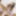 Shino Aoi :: The Prey waitress - CARIBBEANCOM #25