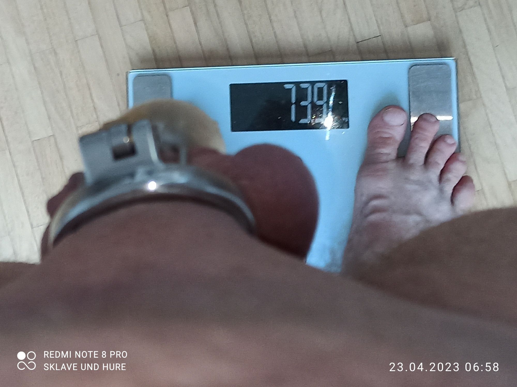 mandatory weighing and cagecheck of 23.04.2023 #7