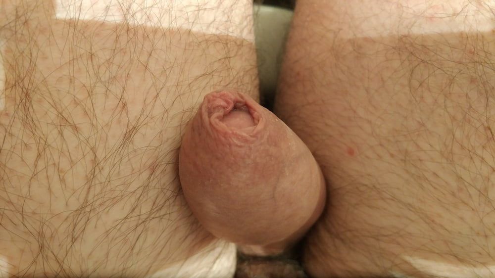 Hard dick #2