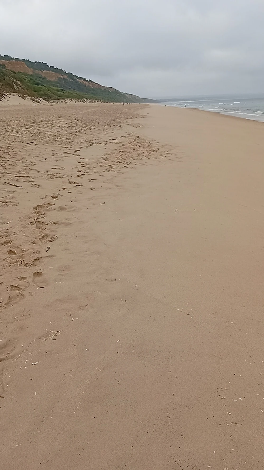 O dia comecou bem numa praia de nudismo  #4