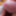 Urethra play and syringe close up photo&#039;s  #20