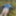 Cover up, reveal #50