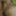 Anal fucked, cumshot in her mouth #25