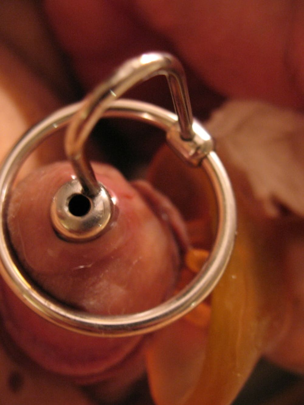 More steel in my cock with glans ring #8