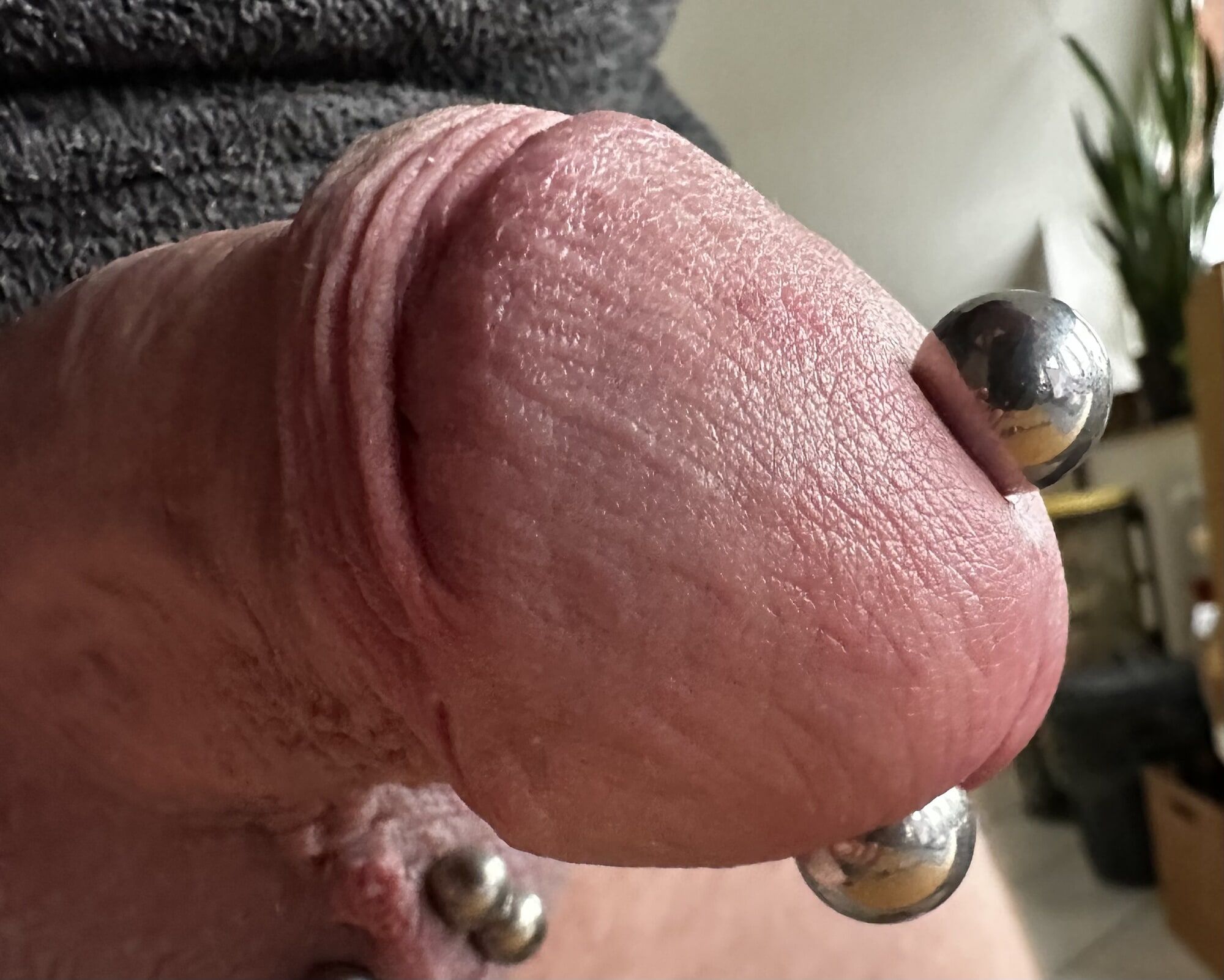 Mein Penis #2