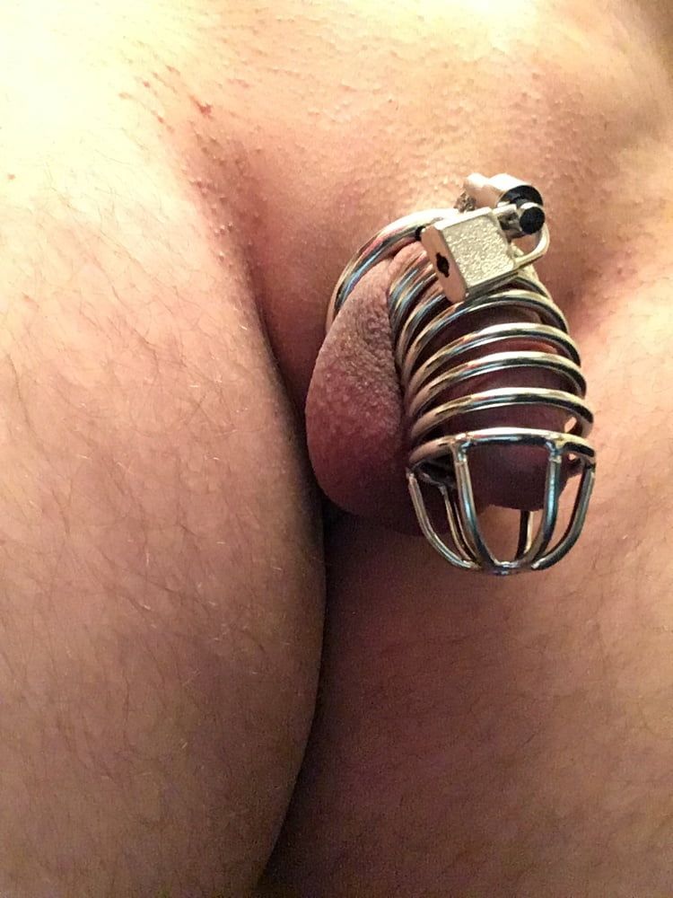 Cock cage #2