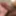 Cock pics