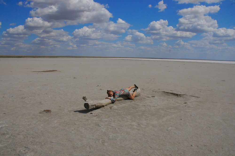 On log in desert #19