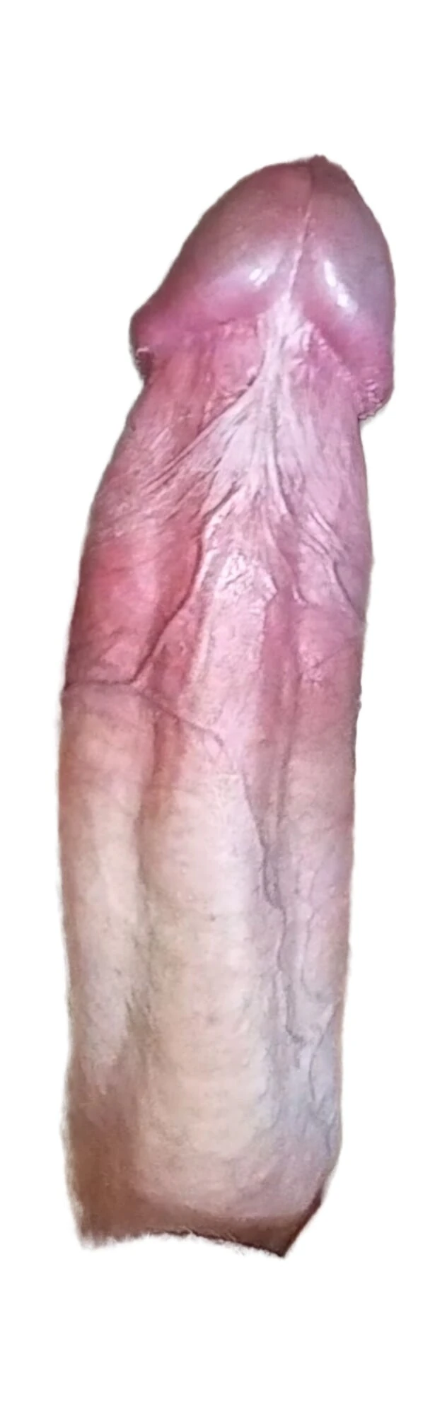 صور إباحية للمثليين مجانًا لفئة قضيب كبير: صور جنسية مثيرة | xHamster