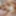 Sara Mizuhara Opts For Threesome