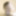 Seattle streamer and pornstar looking for women 