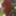 June 2019 nude outside Juin 2019  nu exterieur chez moi #25