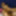 Cute Chocolate Girl Handle a Big Dick - Zingare