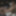63+ GILF gets off for voyeurs GIFs #12