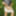 Outdoor Pantyhose Games
