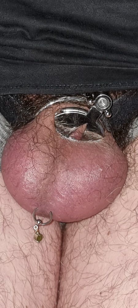 My new chastity cage after 2 days #27