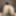 Sexy BBW Micro Swim Suit #35